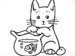 Katze