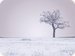 LadyWinter